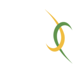 Brasil Junior