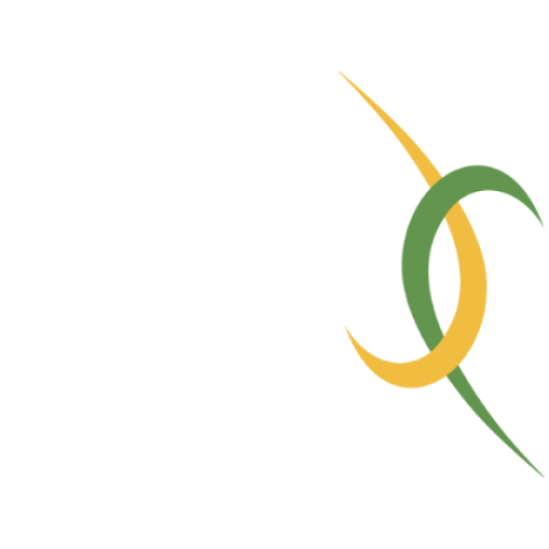 Brasil Junior